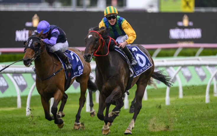 皇马官方:巴列霍左腿股二头肌受伤.