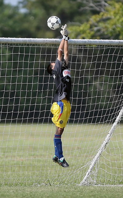 R衛星的成 R衛星的成