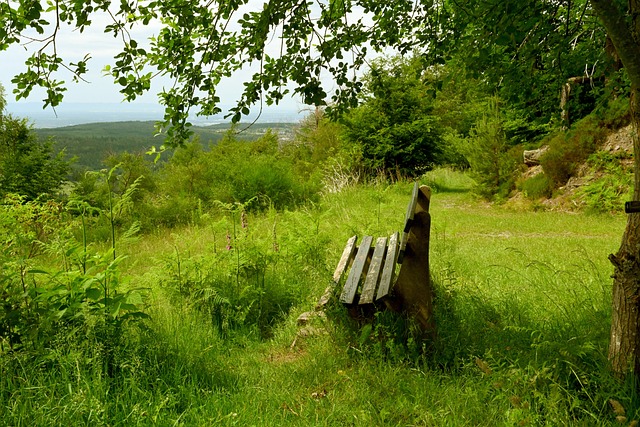 猛龙惨败公牛无缘附加赛!东部前十尘埃落定,费城76人崩盘引热议.