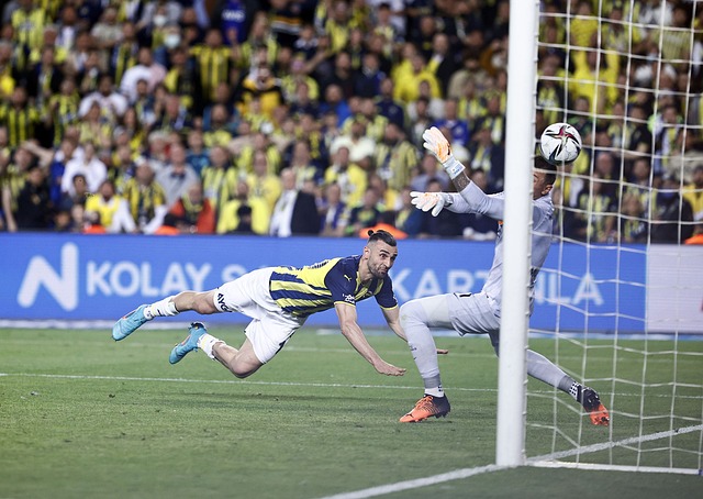 这一决定引 这一决定引