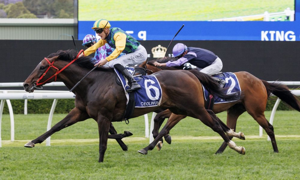 弗里克带队连续19场不败跻身队史第6，总胜率75%仅次恩里克.